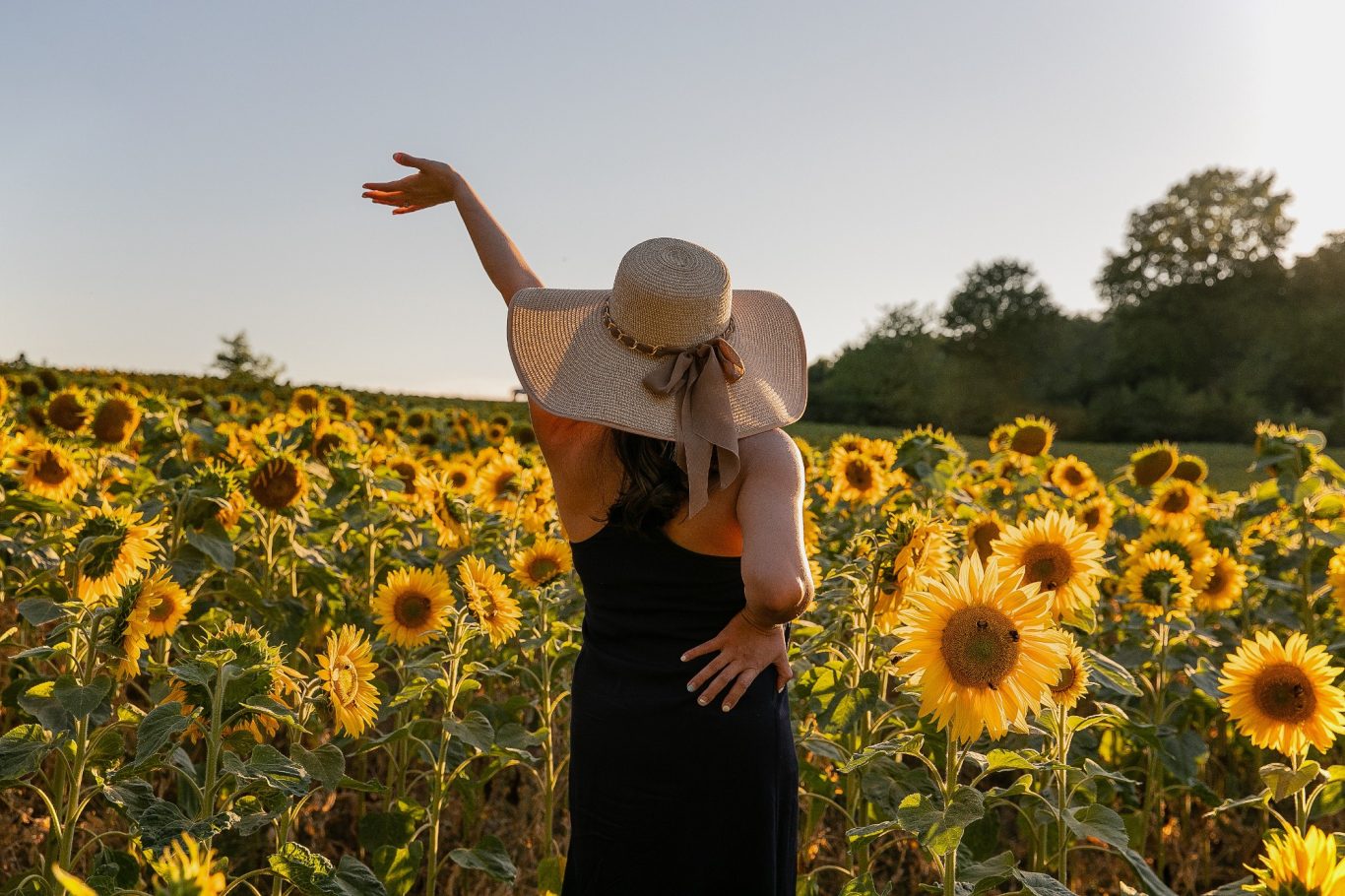 Frau in schwarzem Kleid und Hut, umgeben von Sonnenblumen im Sonnenlicht.